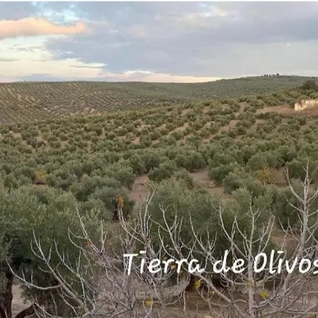 Apartment Vival Pineda